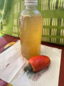 Berdayakan Masyarakat Lokal, Mahasiswa KKN UNS Adakan Edukasi Pengolahan Jambu Mete Menjadi Sirup dan Abon di Desa Gumantar, Lombok Utara Berdayakan Masyarakat Lokal, Mahasiswa KKN UNS Adakan Edukasi Pengolahan Jambu Mete Menjadi Sirup dan Abon di Desa Gumantar, Lombok Utara