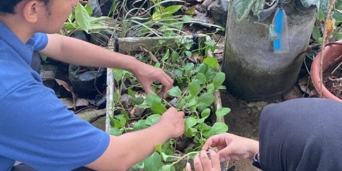 Mahasiswa KKN UNDIP Dorong Percepatan Program Kelompok Wanita Tani di Desa Kedungwinong Melalui Optimalisasi Logistik