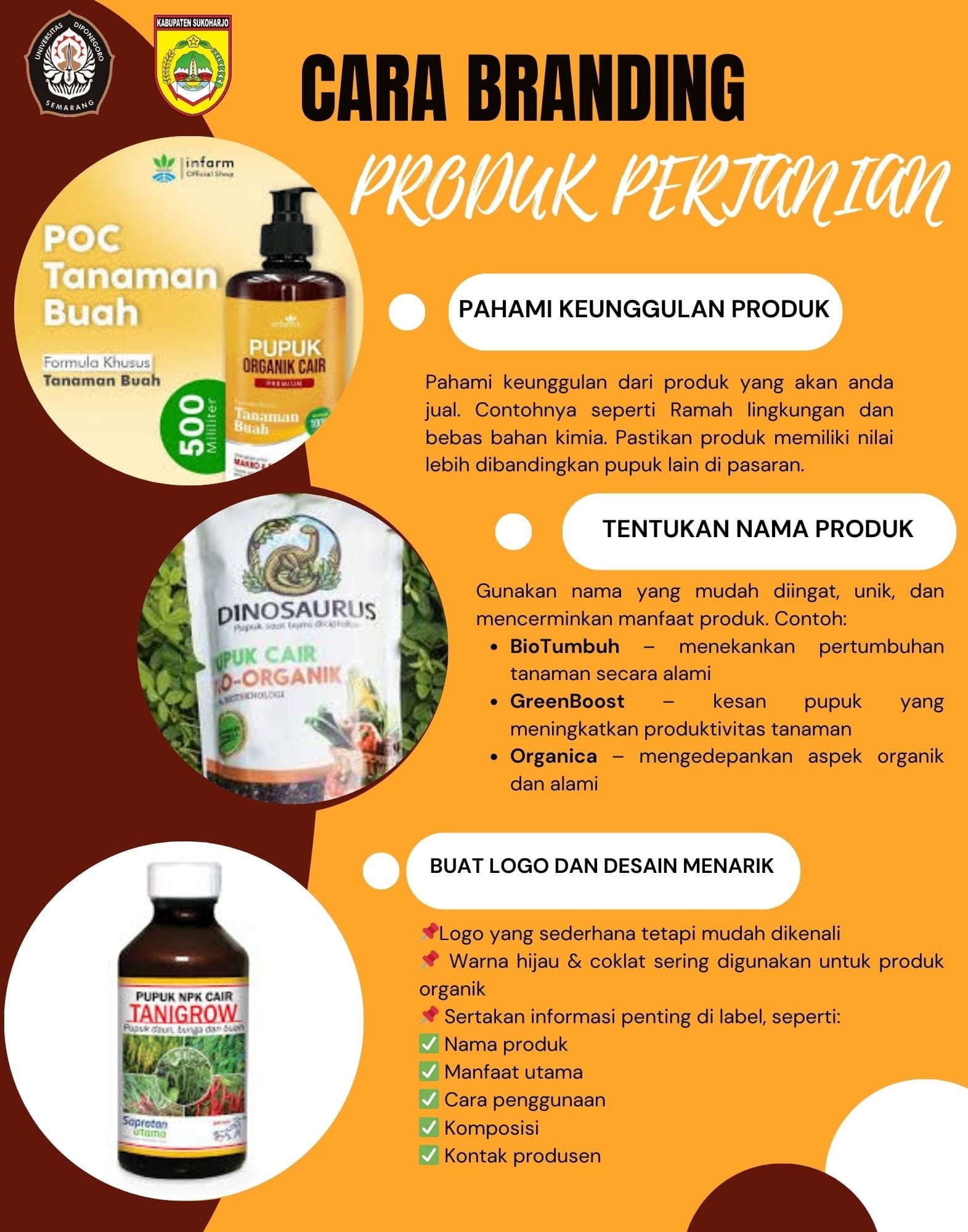 Mahasiswa KKN Undip Dorong Peningkatan Daya Jual Produk Pertanian melalui Sosialisasi Branding dan Pembuatan Pupuk Organik Cair di Desa Kedungwinong Mahasiswa KKN Undip Dorong Peningkatan Daya Jual Produk Pertanian melalui Sosialisasi Branding dan Pembuatan Pupuk Organik Cair di Desa Kedungwinong