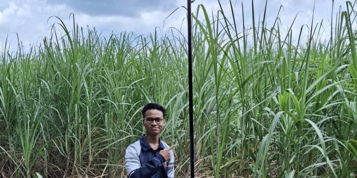 Mahasiswa KKN UNDIP Lakukan Instalasi Penerangan Jalan Umum Berbasis Panel Surya di Desa Jeruk