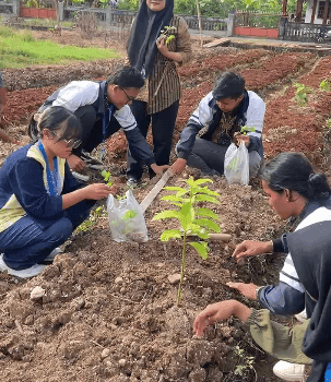 Teknik POC untuk Panen Melimpah, KWT dan Mahasiswa KKN UNDIP Bergerak Menuju Pertanian Organik