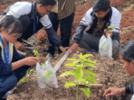 Teknik POC untuk Panen Melimpah, KWT dan Mahasiswa KKN UNDIP Bergerak Menuju Pertanian Organik