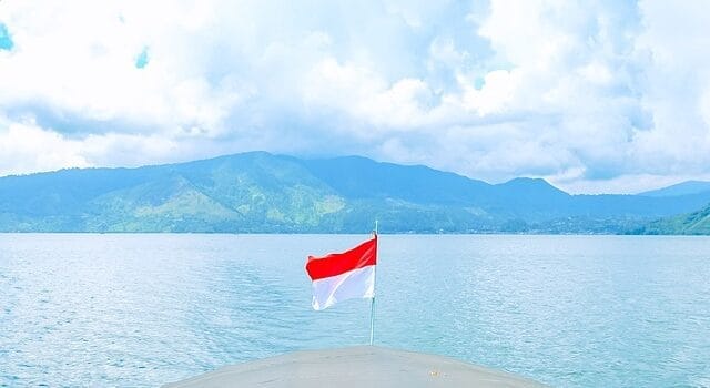 Sistem Pemerintahan Indonesia Antara Ideal dan Realita Layanan Publik