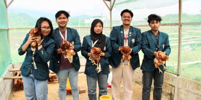 Bantu Kemandirian Pangan, Mahasiswa KKN Undip Beri Demplot dan Pendampingan Pemeliharaan Ayam Petelur Skala Rumah Tangga di Desa Sukorejo, Sragen