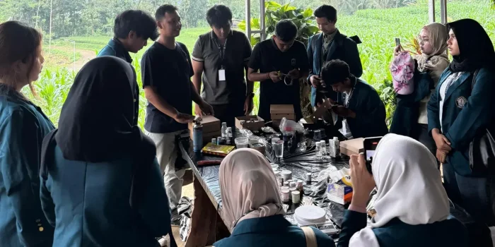 Dari Reels ke Deals, Intip Strategi Cuan UMKM Ala Sigur.id!